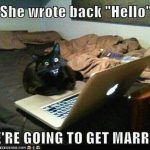 4bbbacbc0c68a30a781c3198b6a6245a