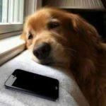 8653cacadb10cf7e5ab870f61fbe4158